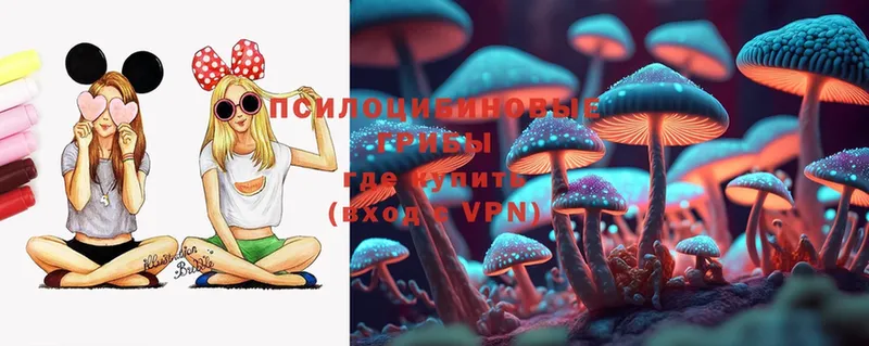 Галлюциногенные грибы Magic Shrooms  хочу наркоту  mega зеркало  Изобильный 